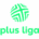 PlusLiga