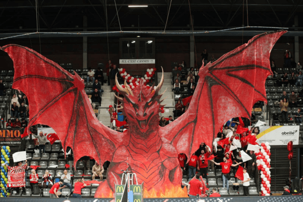 Photo du tifo avec le dragon déployé en tribune. (LNV - Sylvain Delaissez)