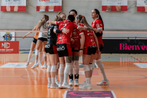 Saint-Dié-des-Vosges compte trois victoires lors de ses cinq derniers matchs. (LNV - Saint-Dié-des-Vosges)